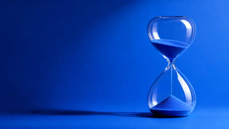 Сколько стоит директолог в 2026 году